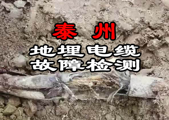 泰州電纜故障檢測(cè)
